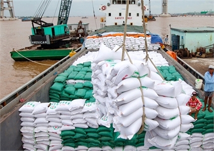Gạo Việt có mức tăng giá xuất khẩu cao nhất so với Thái Lan, Ấn Độ
