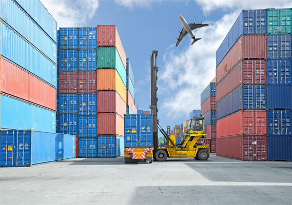 Vietnam → Russia Export Services